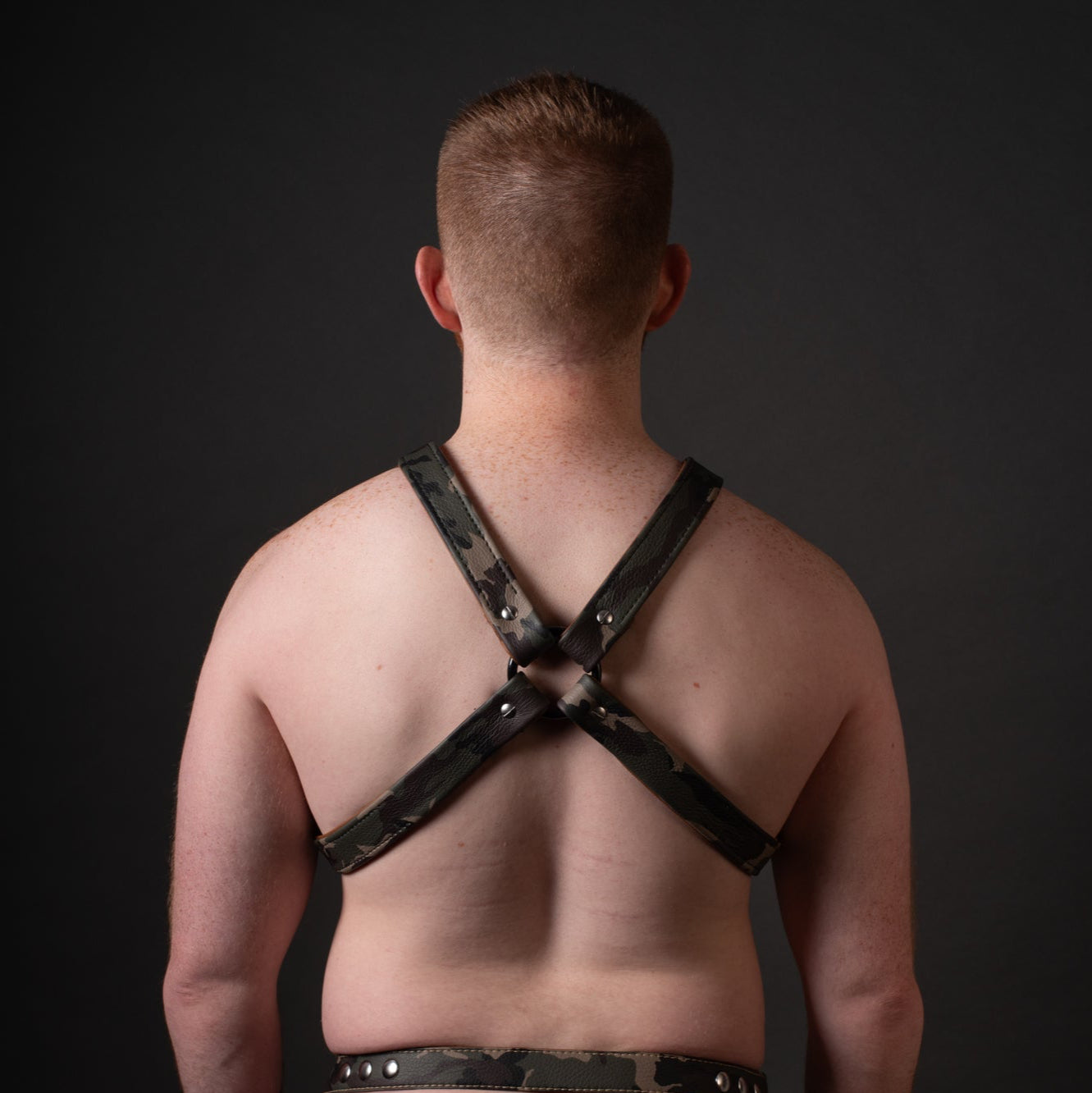 X-Harness