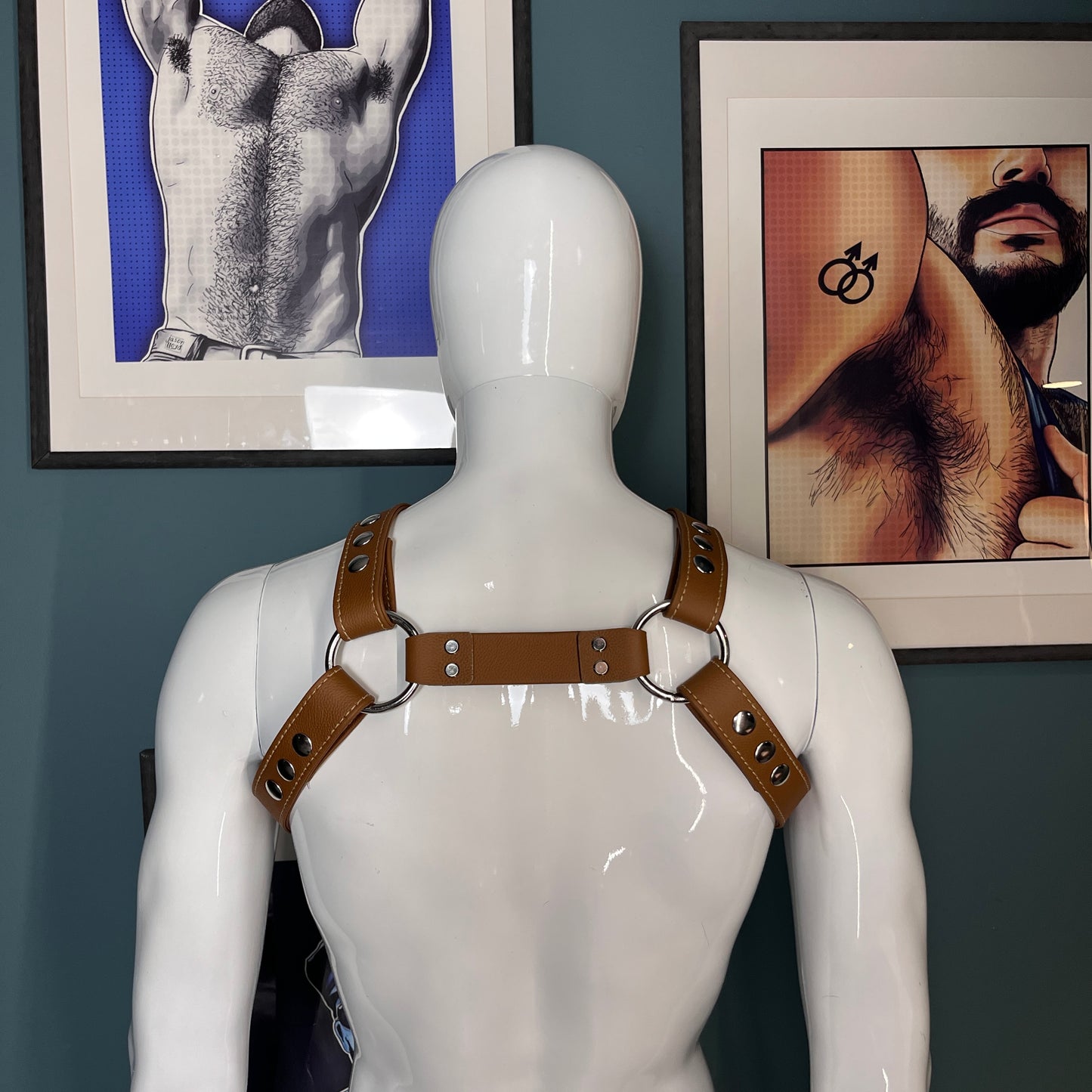 X-Back Bulldog Gear Set