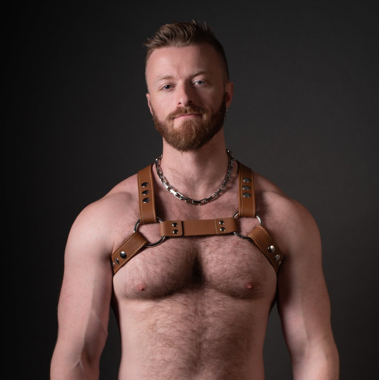 X-Back Bulldog Harness