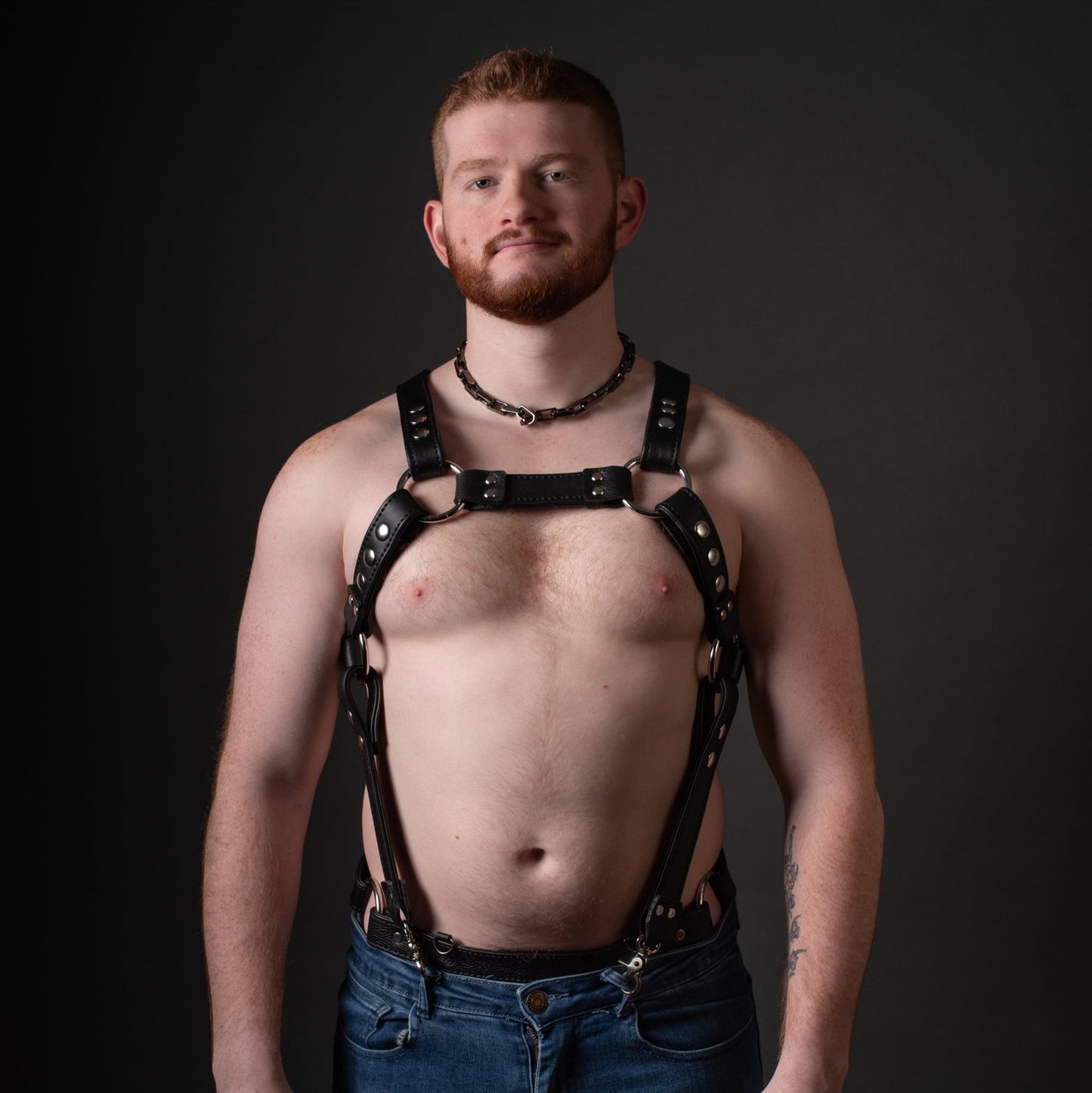 Full Torso Harness - Interchangeable Attachment