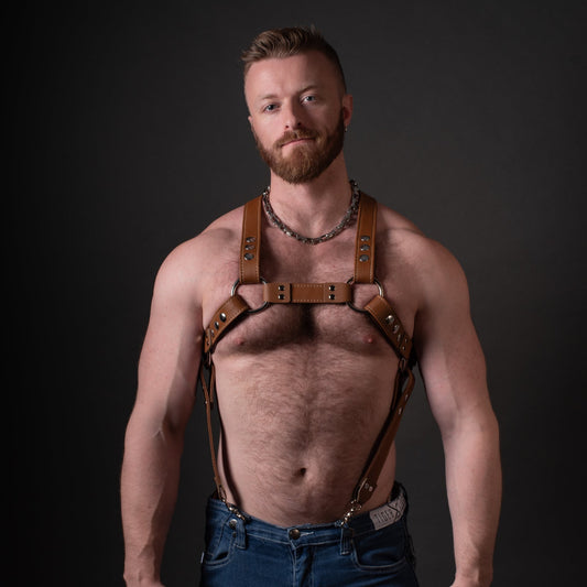 Full Torso Harness - Clip Attachment