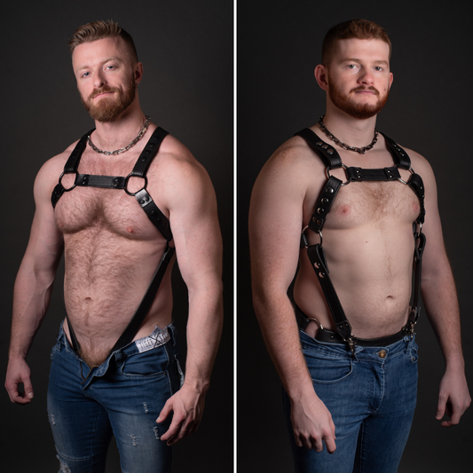 Full Torso Harness - Interchangeable Attachment