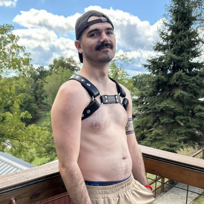 X-Back Bulldog Harness